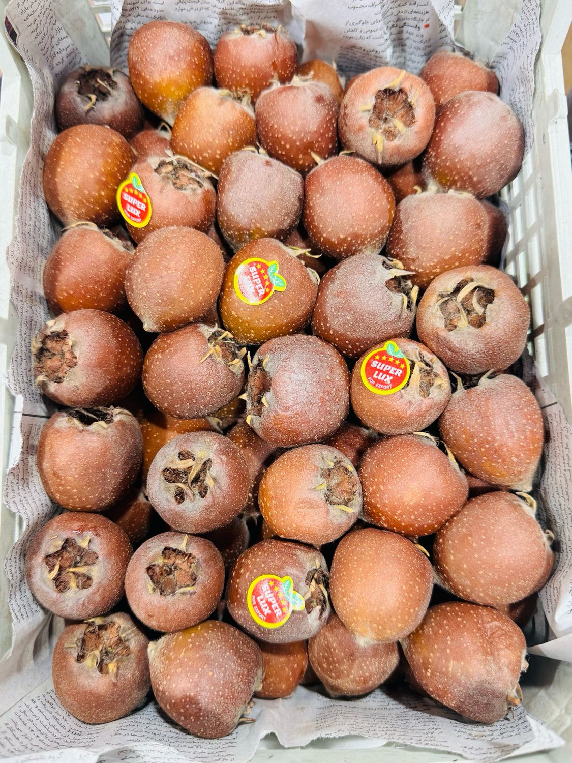 Azgil . ازگیل دماوند