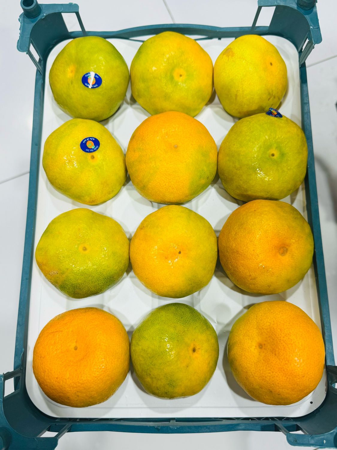 Tangerine . نارنگی