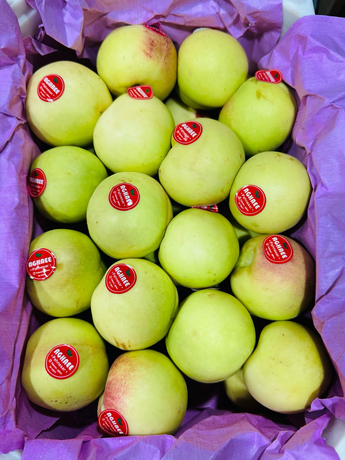 Green peach . شلیل شمس