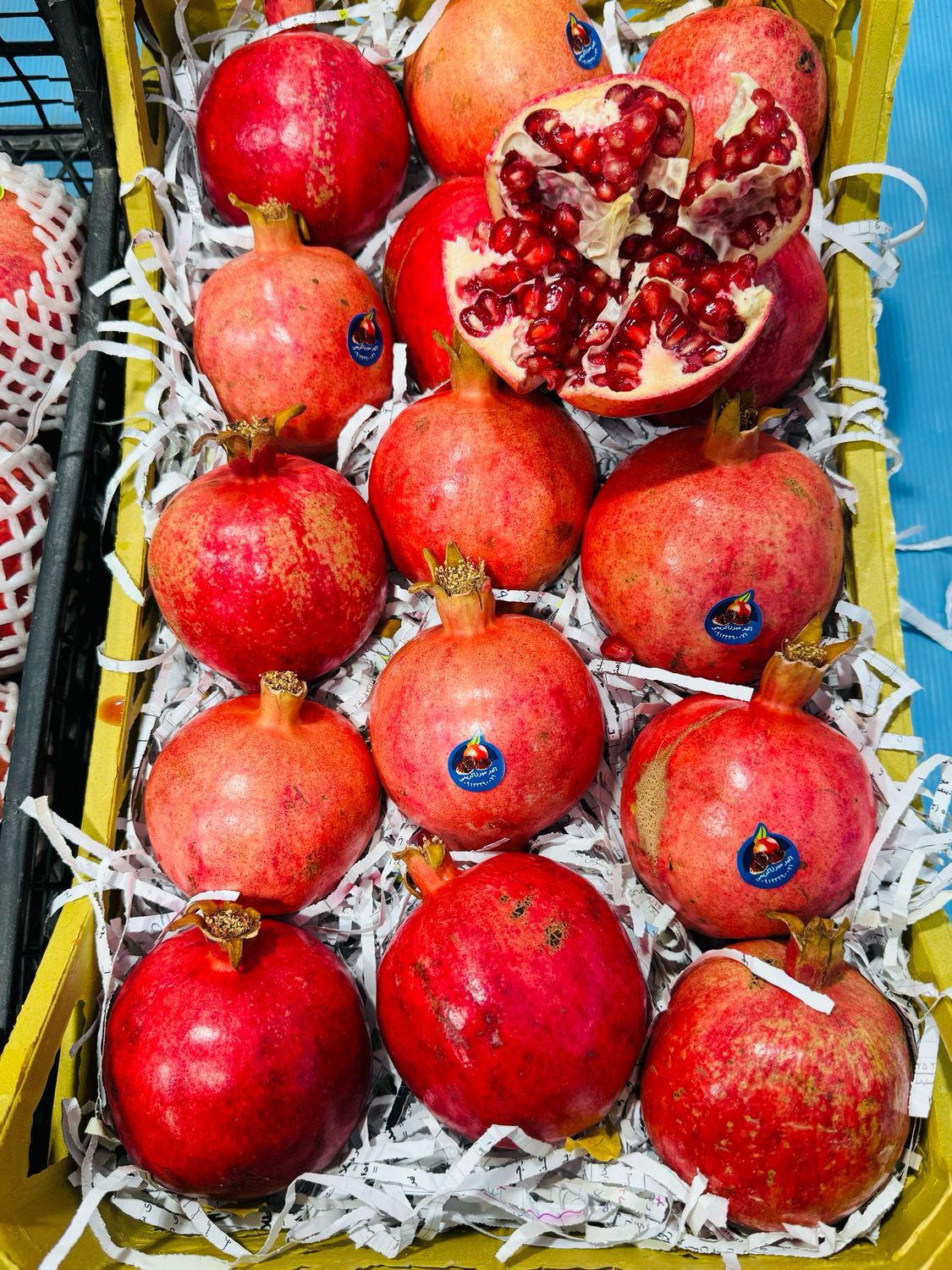 Pomegranate . انار شیراز