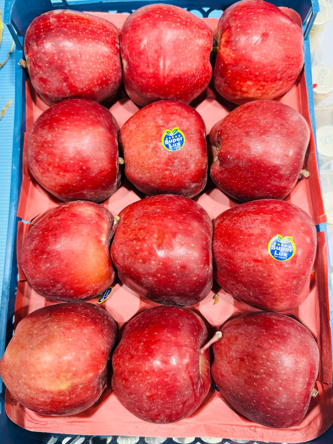 Red apple . سیب قرمز سمیرم