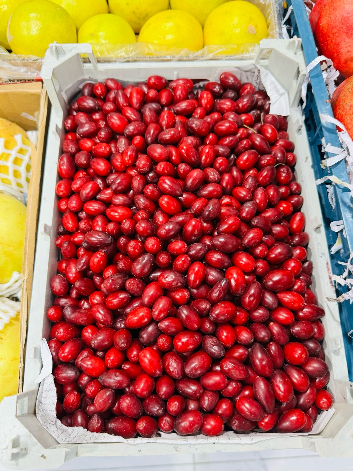 Red cranberries . ذغال اخته
