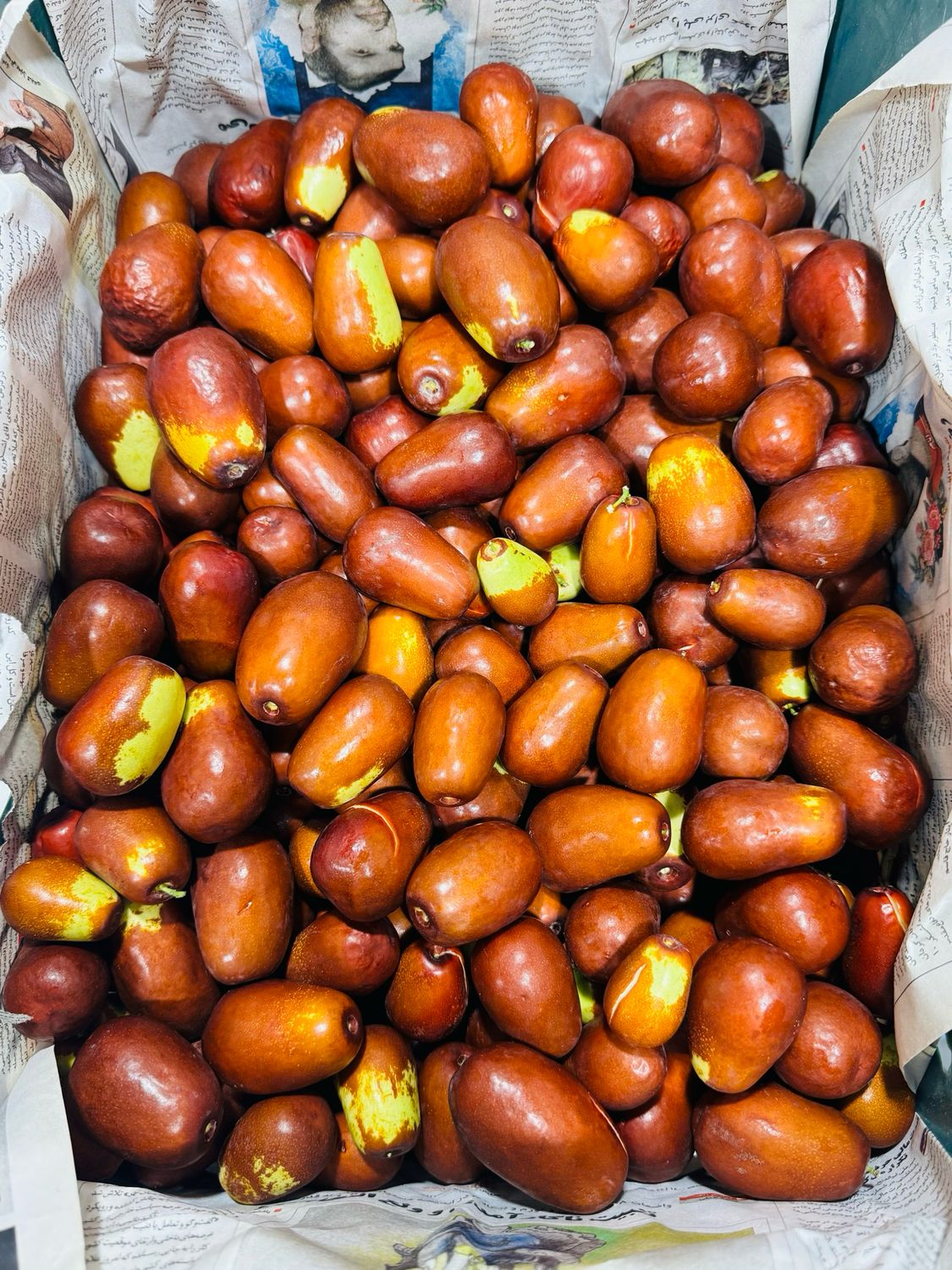 Fresh jujube . عناب تازه یاقوتی