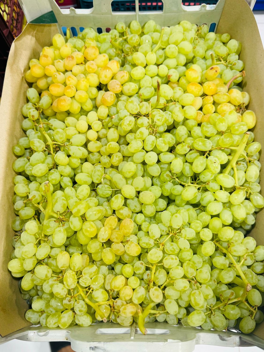 Yellow grapes . انگور زرد