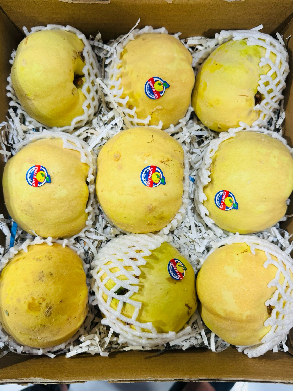 Baa . به اصفهان