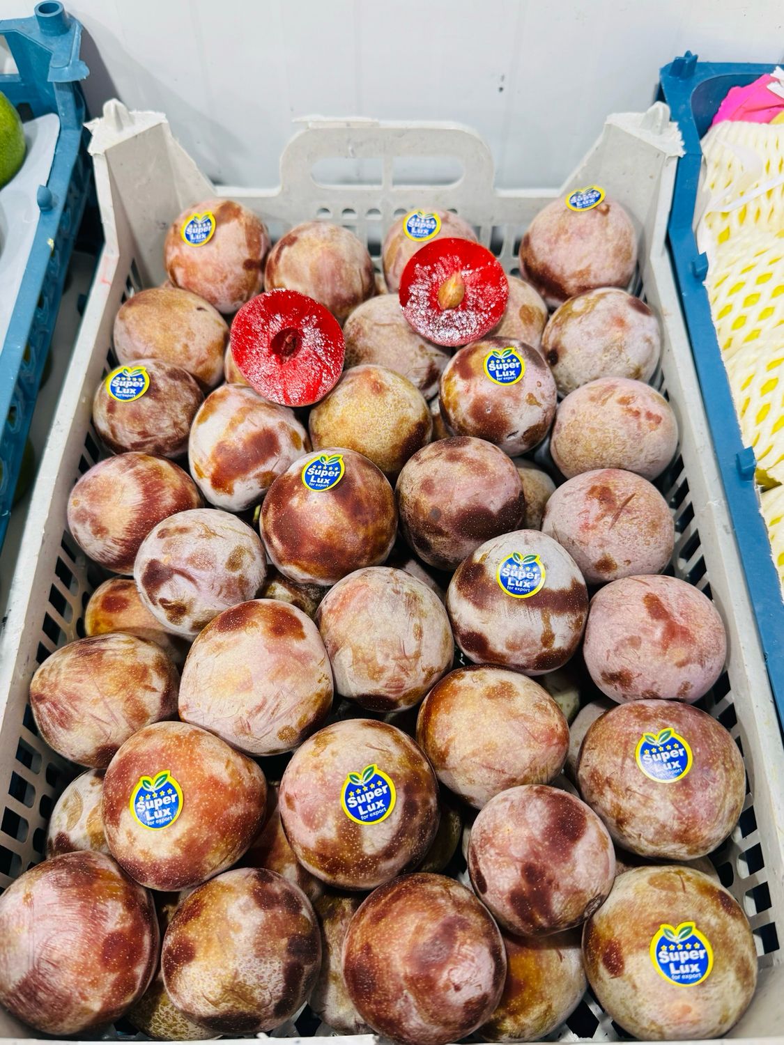 Red plum . آلو خاکی