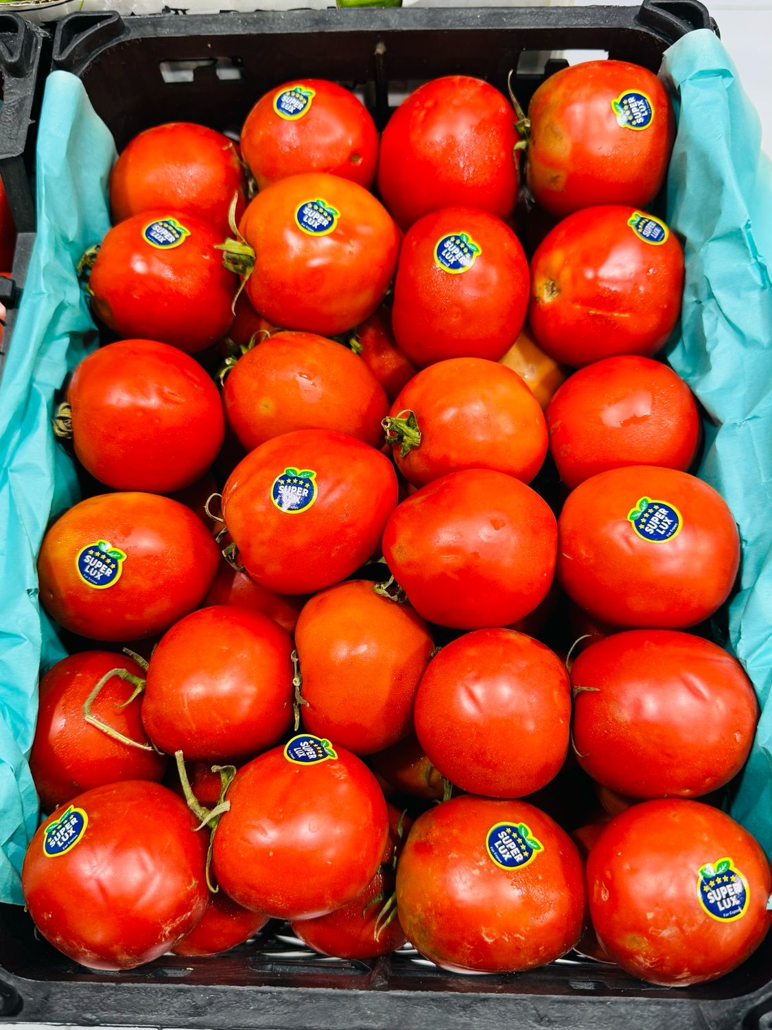 Tomato . گوجه فرنگی