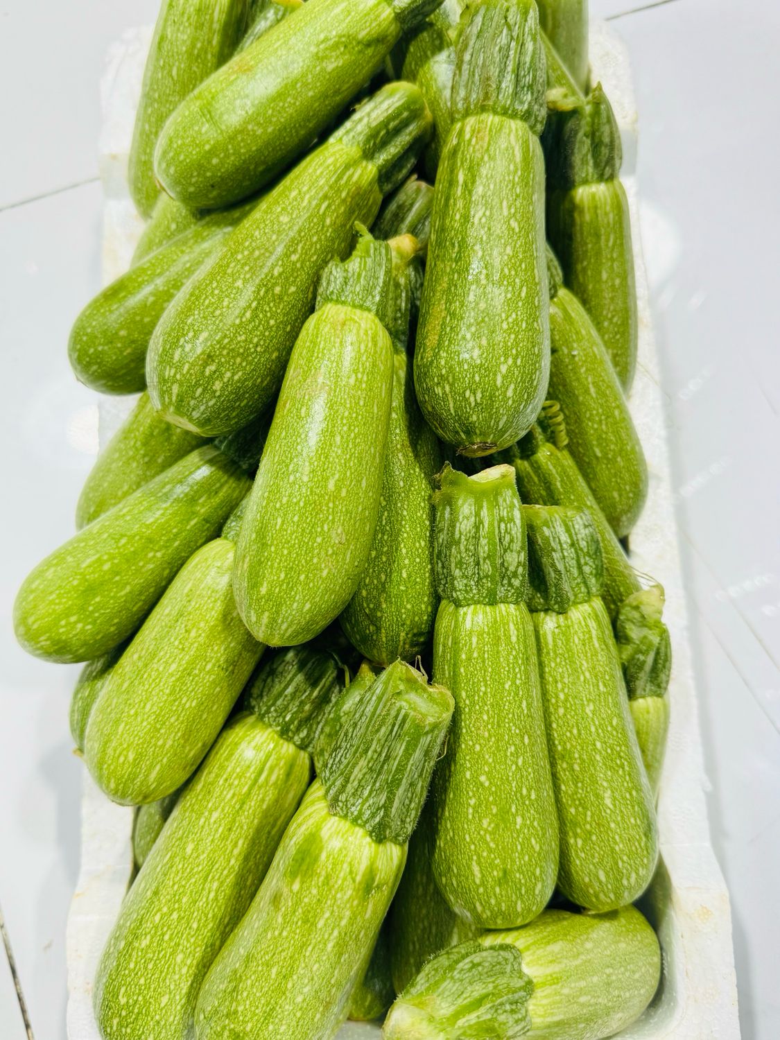 Zucchini . کدو سبز