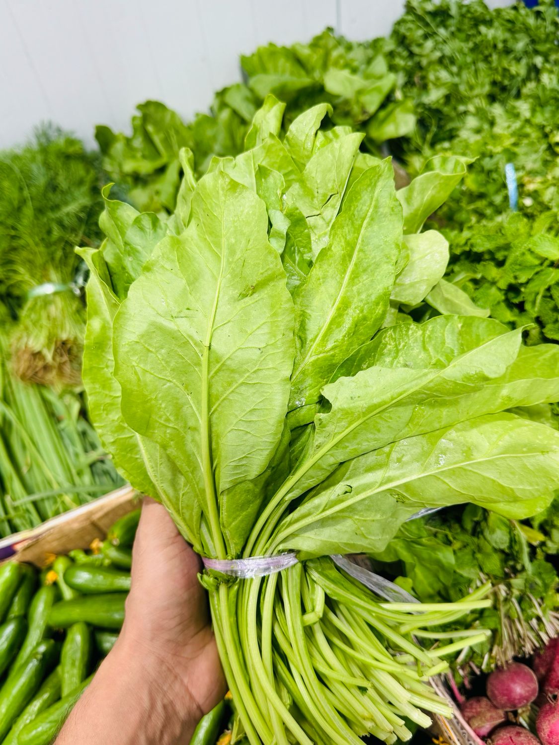 Spinach . اسفناج