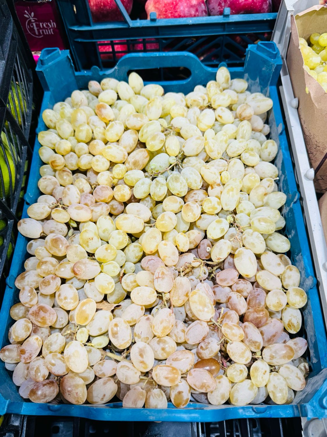 Shahroudi grapes . انگور شاهرودی