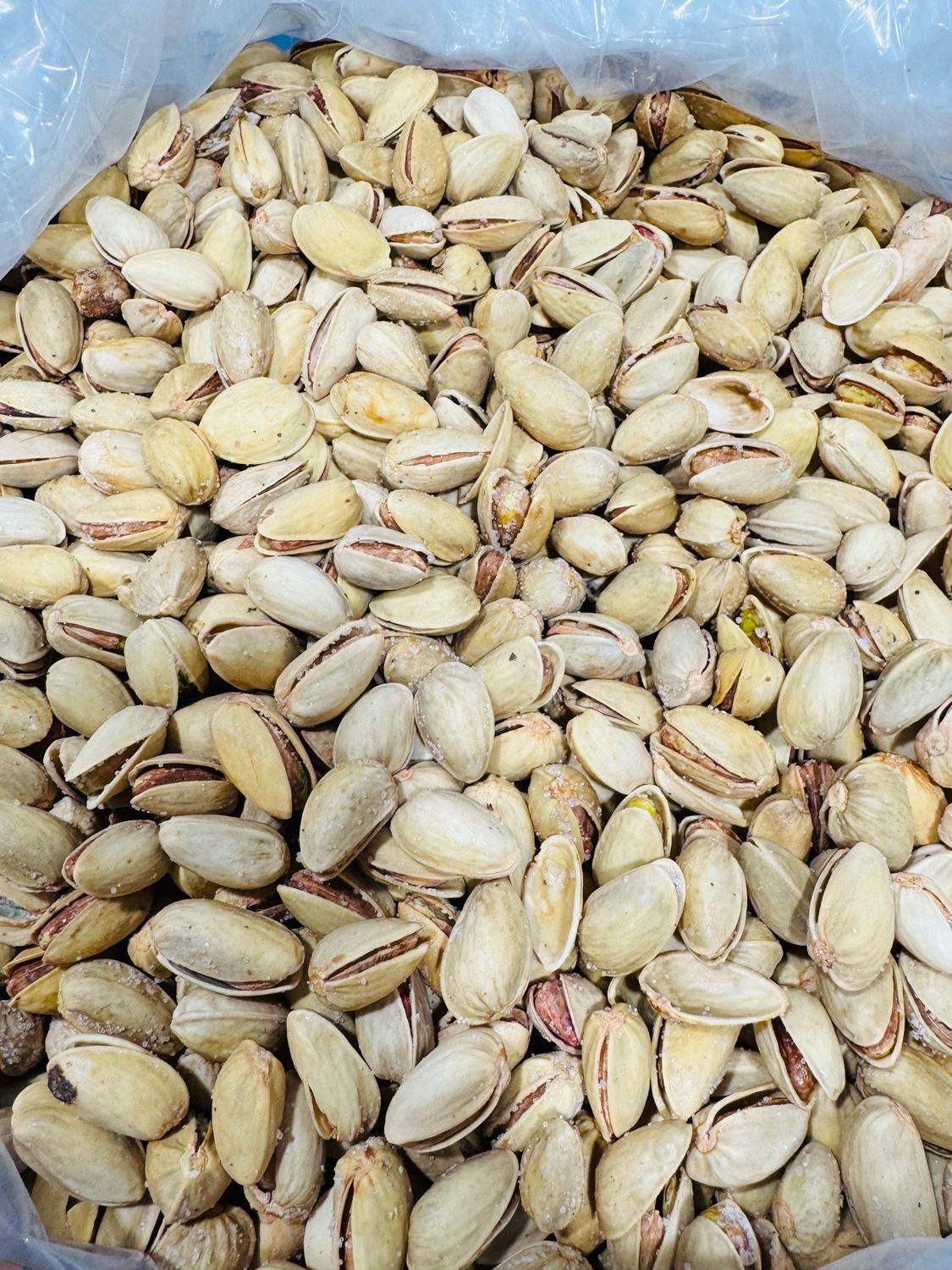 Salted pistachios . پسته نمکی