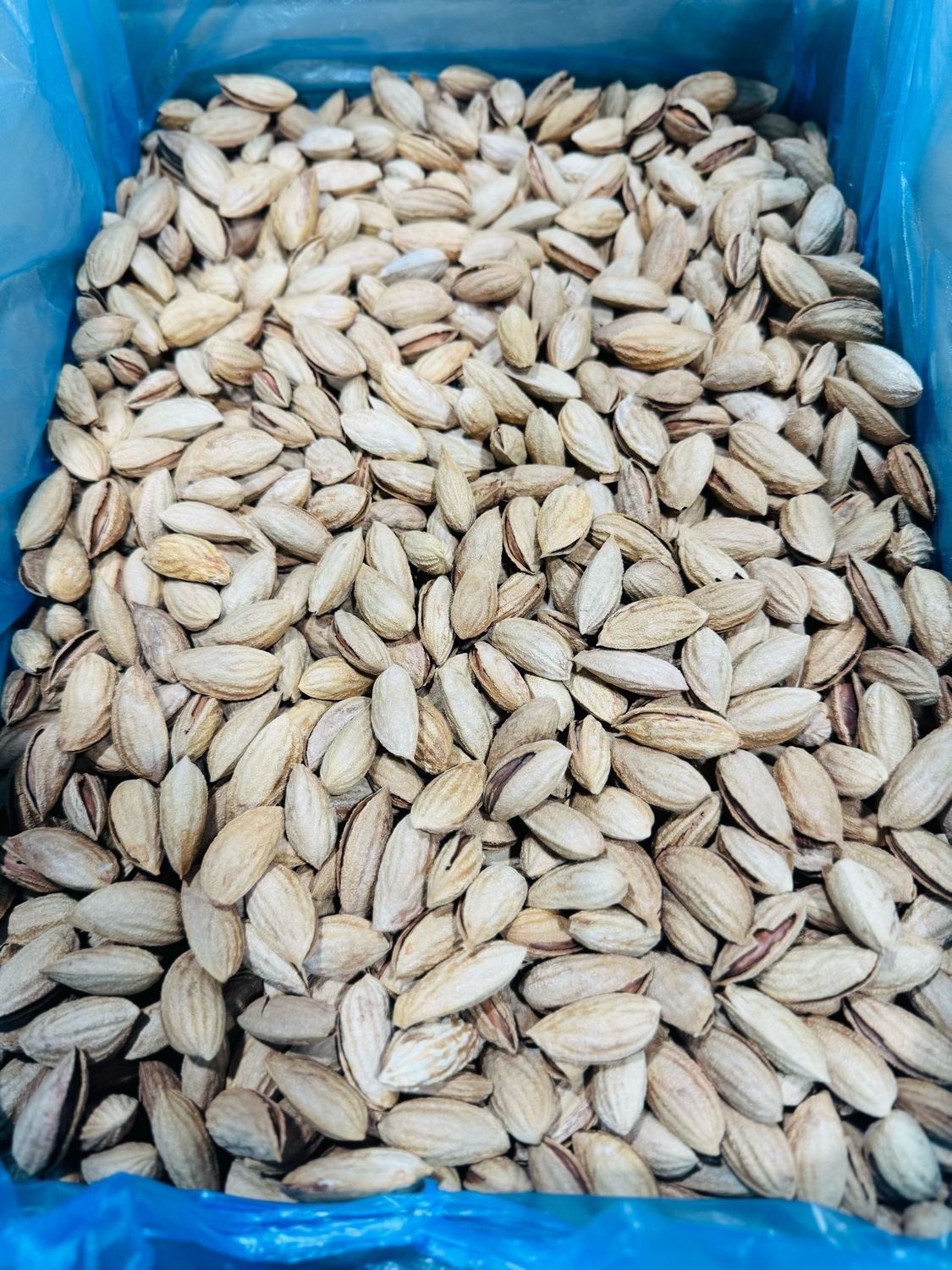 Almond . بادام کاغذی