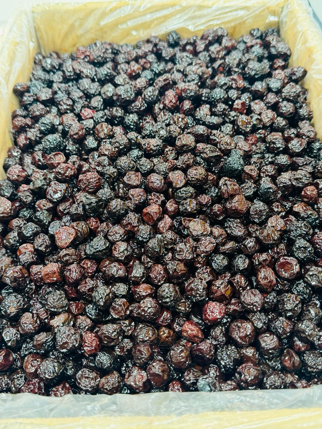 Dried cherries . آلبالو خشک