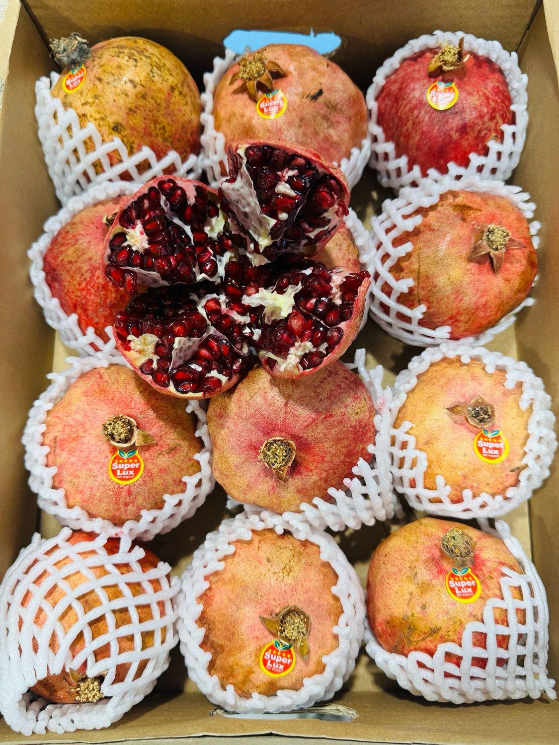 انار ساوه مجلسی  Pomegranate Iran