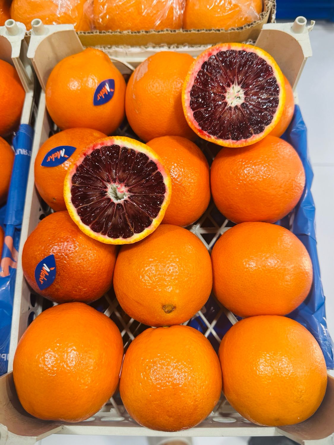 پرتقال خونی Red Orange