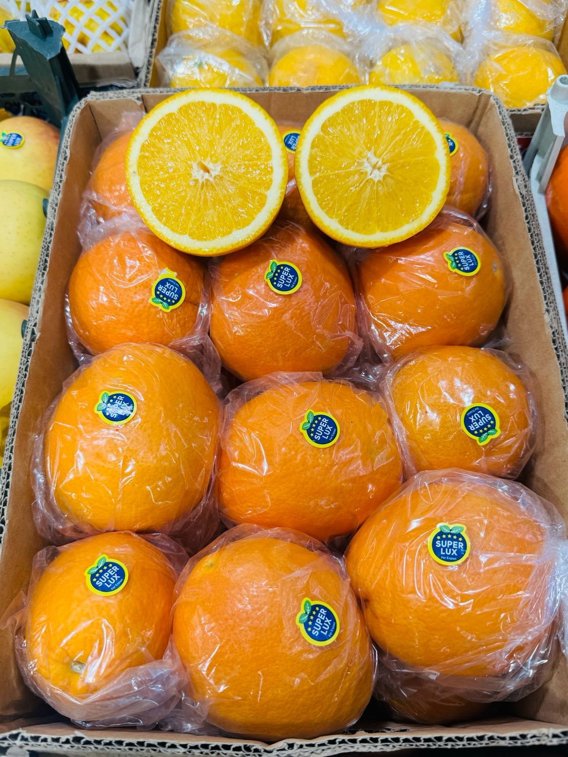 Orange پرتقال ناول جنوب