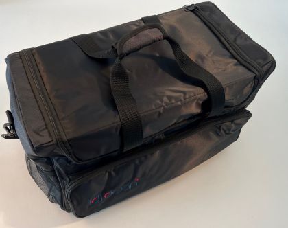 DEJAN ORGANISER BAG