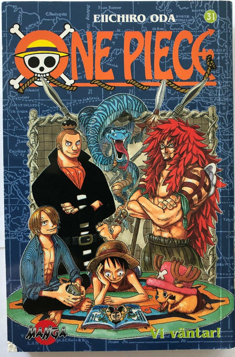 One Piece 31