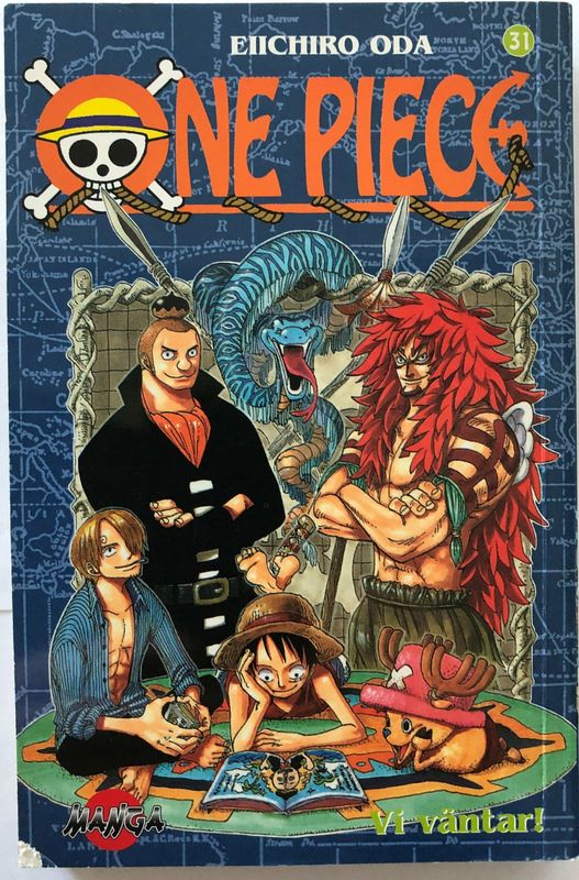 One Piece 31