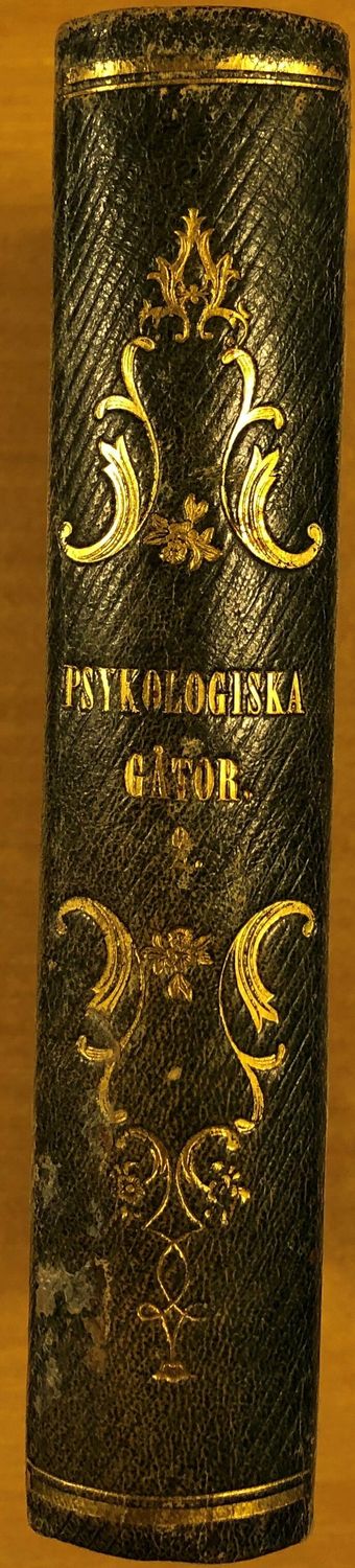 Psykologiska gåtor - En berättelse - Andra delen