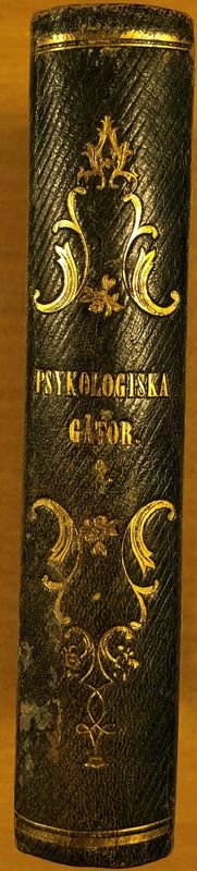 Psykologiska gåtor - En berättelse - Andra delen
