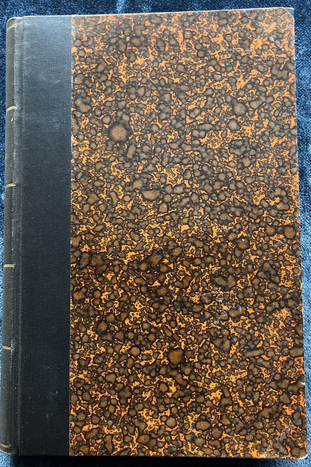 Rousseau und die deutsche Geschichtsphilosophie - Richard Fester