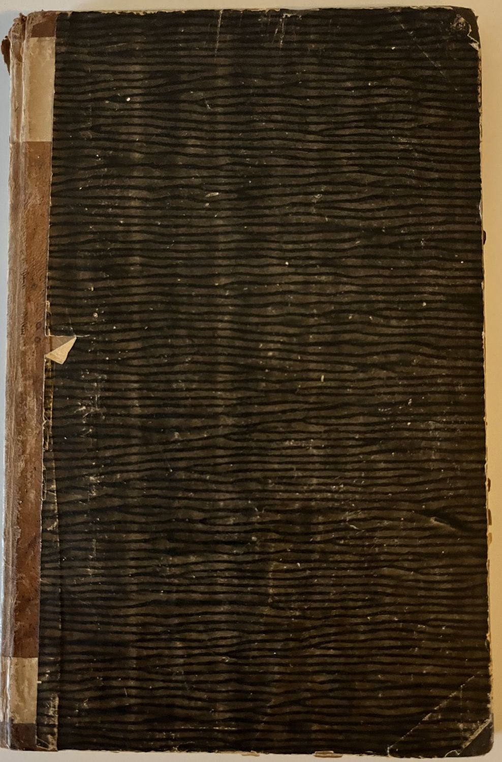 Seele unde Geist und das Phantom der "Ichlichkeit" - Gustav Knauer