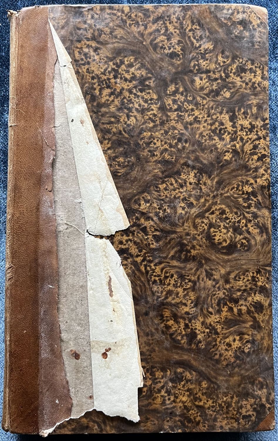 Friedrich Heinrich Jacobi´s Werke Band 1