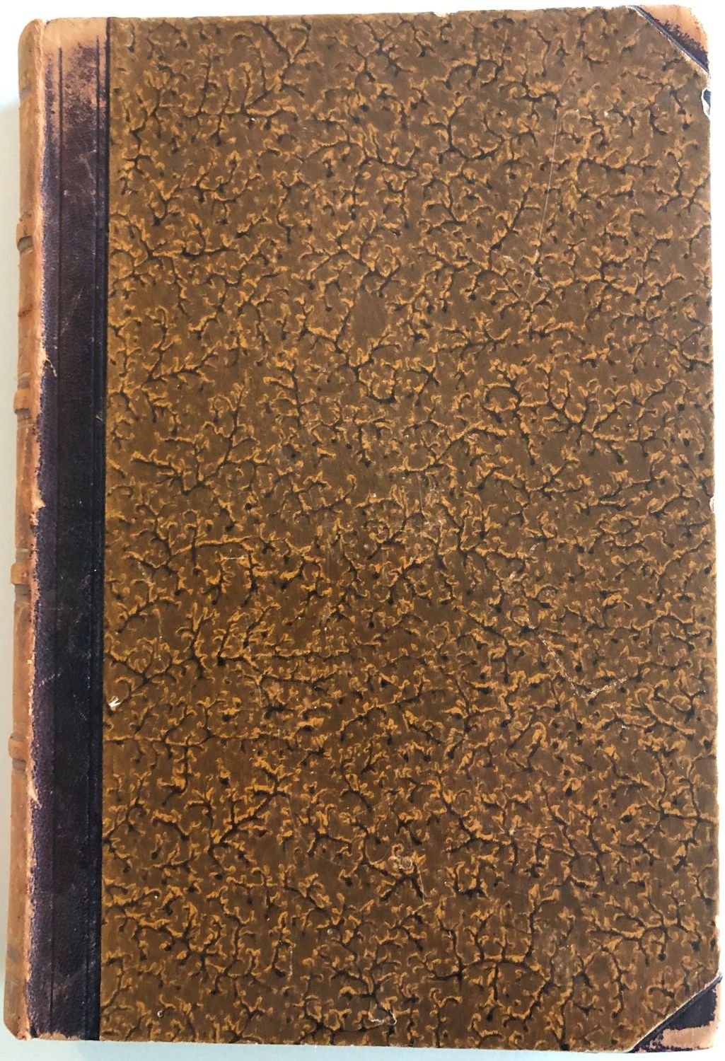 Grundzuge der Ethik und Rechtsphilosophie - Dr Wilhelm Schuppe