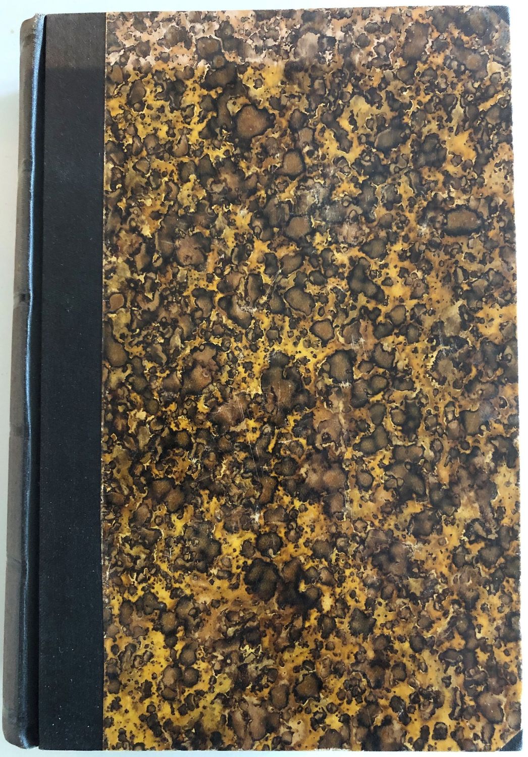 Idealismus und Positivismus Theil III - Ernst Laas