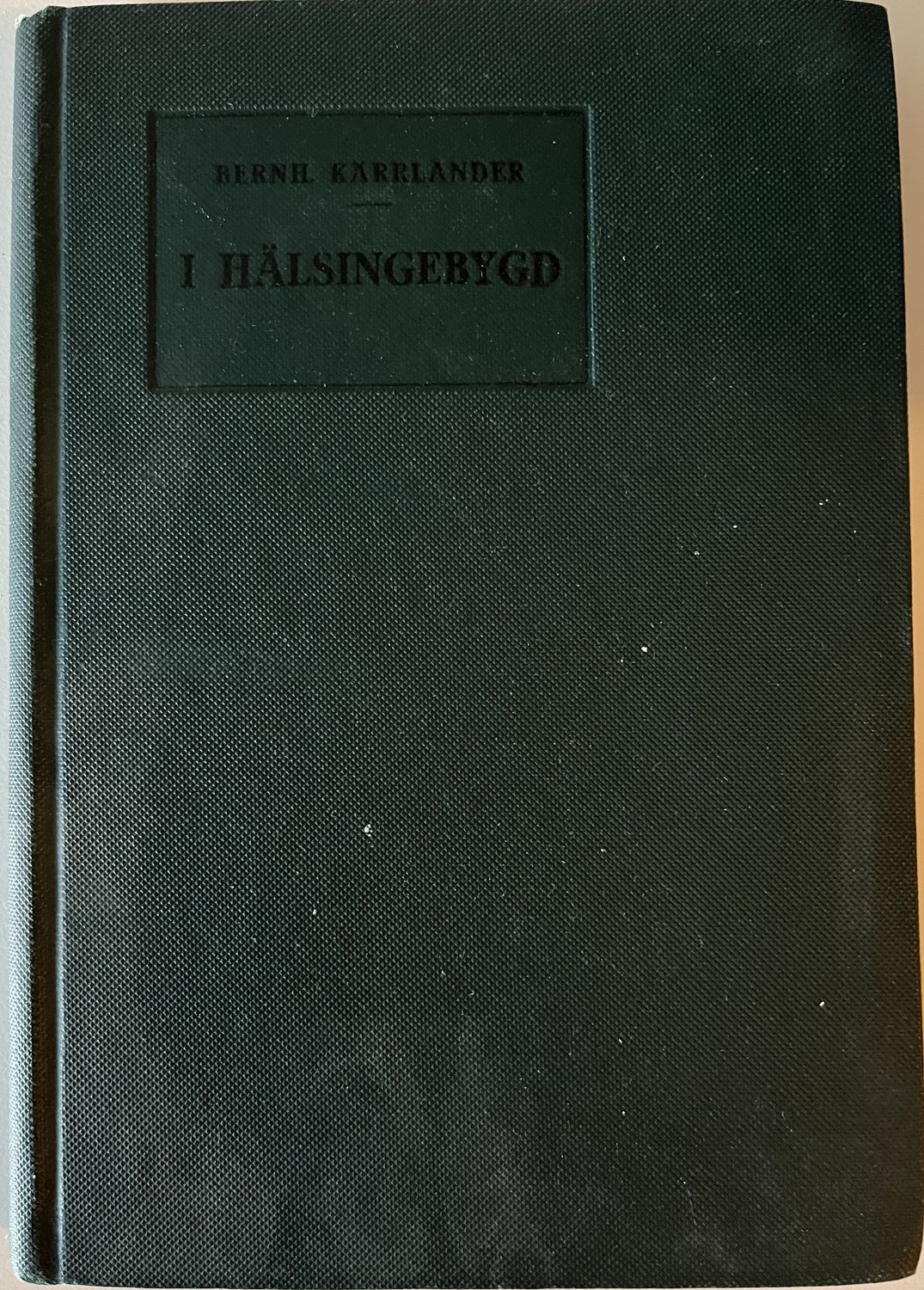 I Hälsingebygd - Bernhard Kärrlander