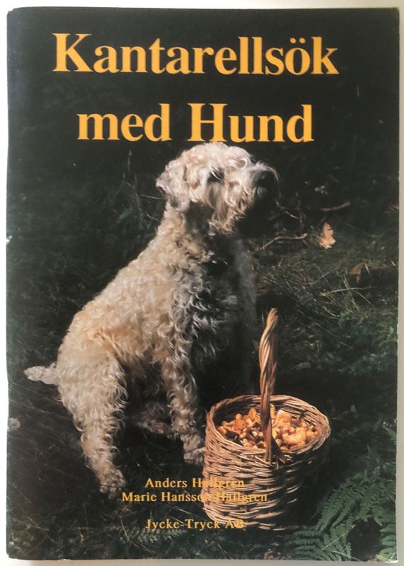 Kantarellsök med Hund - Anders och Marie Hallgren