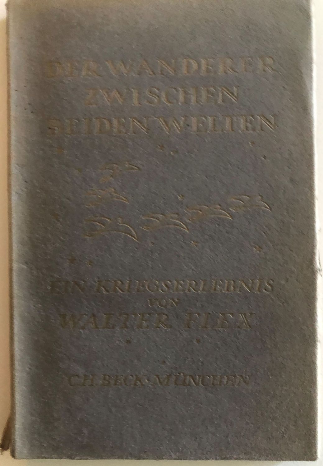 Der Wanderer zwischen beiden weltwn, ein kriegserlebnis - Walter Flex