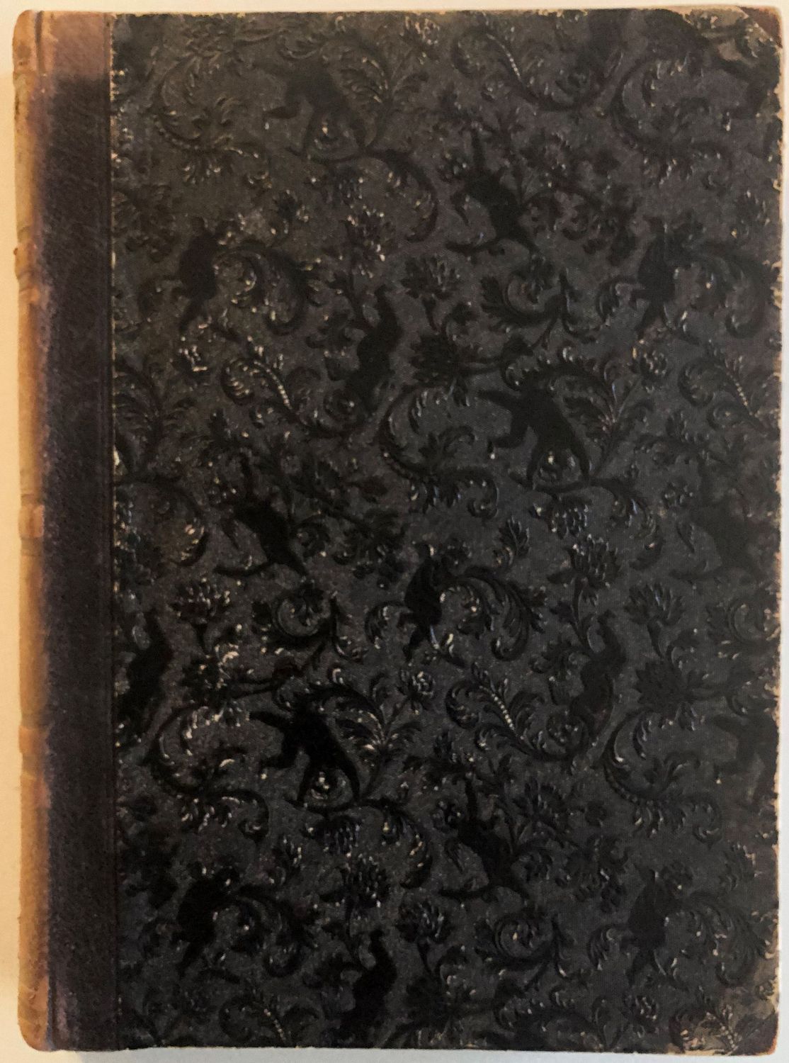 Die Atomstik des Willens II Band - Robert Hamerling