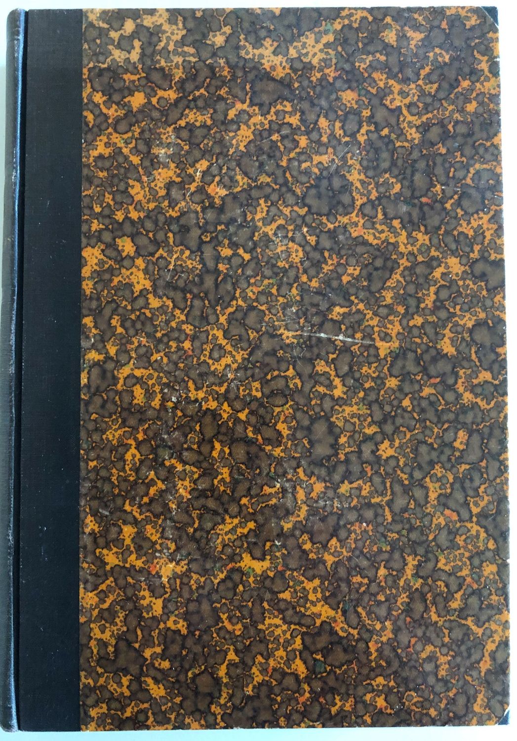 Der Skeptizismus in der Philosophie - Raoul Richter