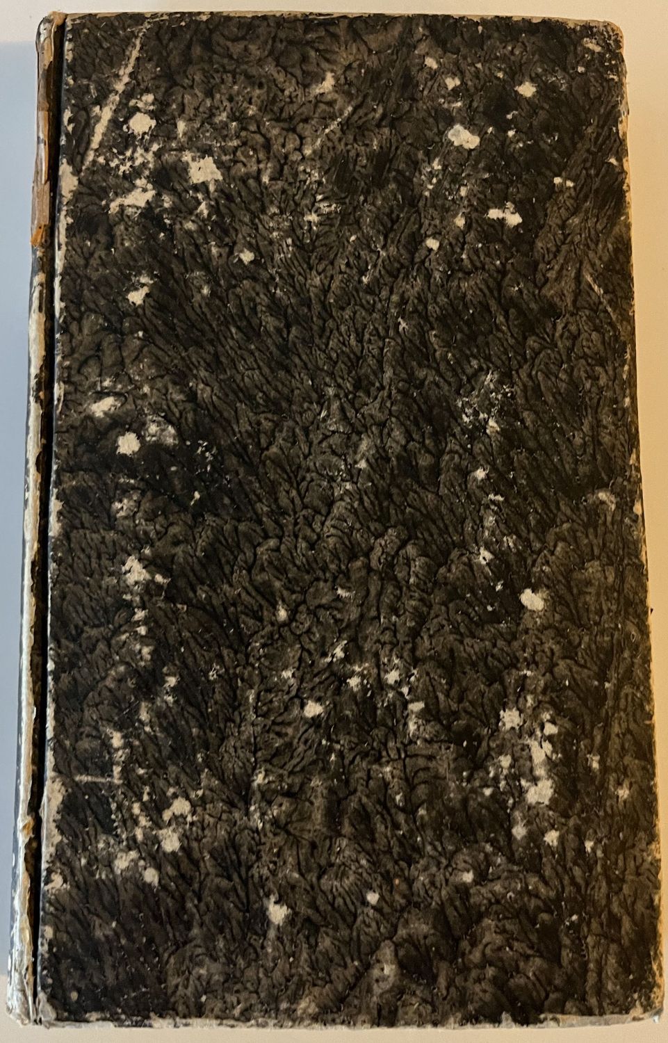 Der sichere Gang durch´s Leben - G Gessner