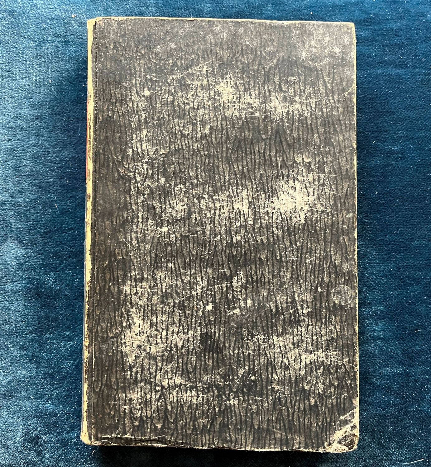 Die Heilige Schrift nach Dr Martin Luthers Ubersetssung - Otto von Gerlach