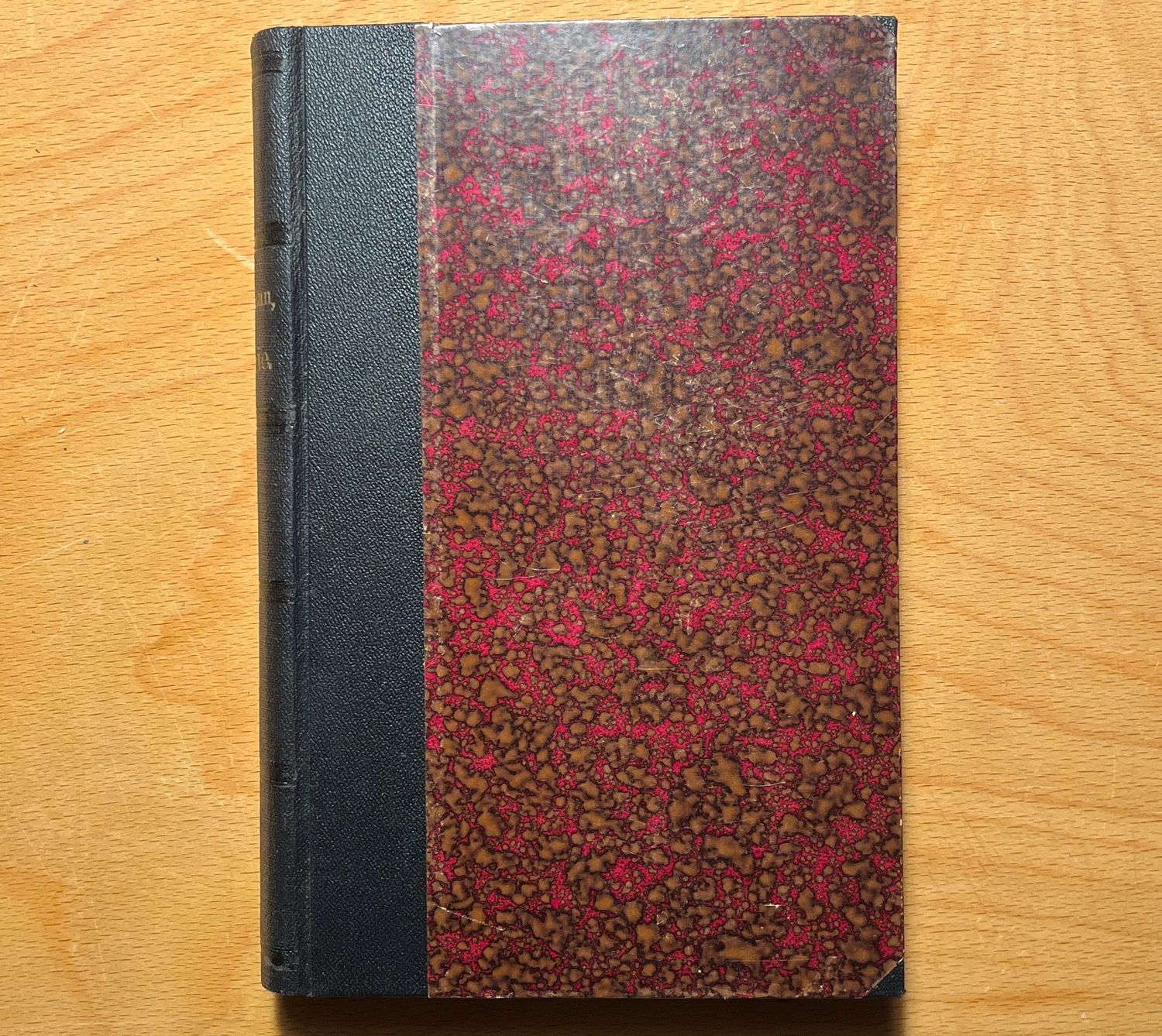 Grundlinien einer Theorie des Bewusstseins - Dr J Bergmann