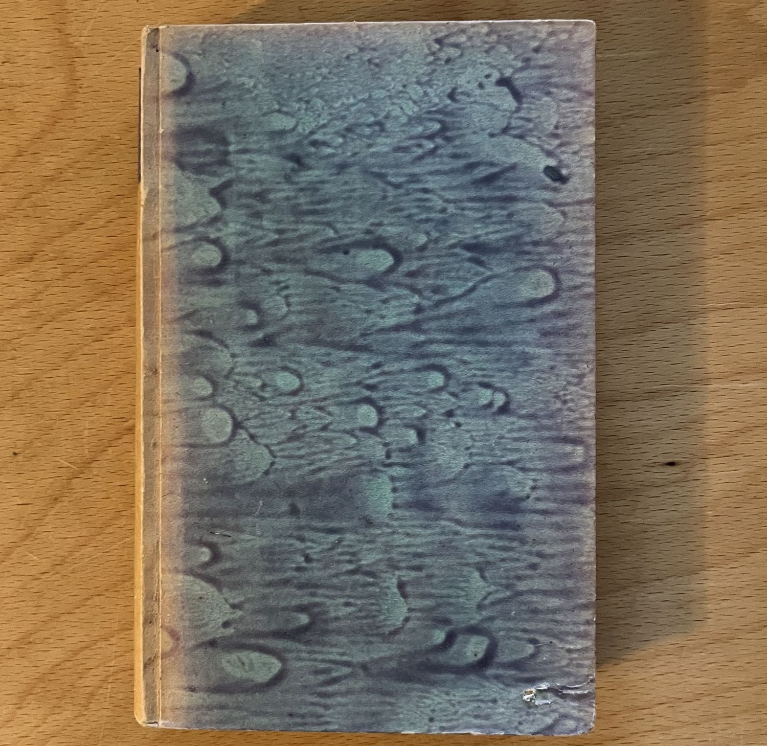 Immanuel Kant´s Anthropologie - 7