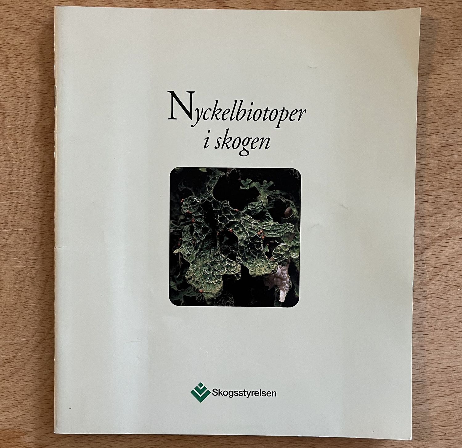 Nyckelbiotoper i skogen