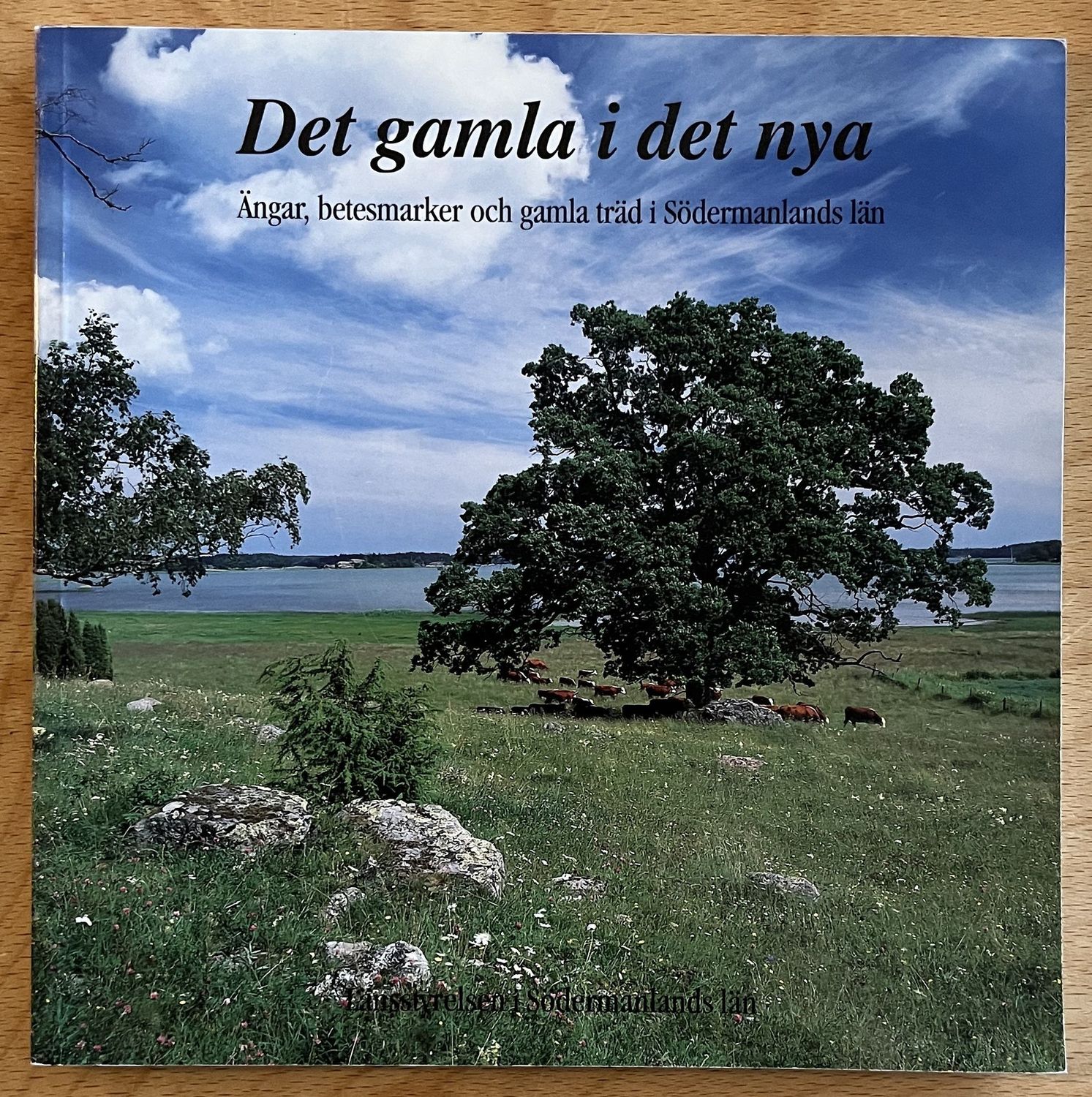 Det gamla i det nya - Åke Carlson