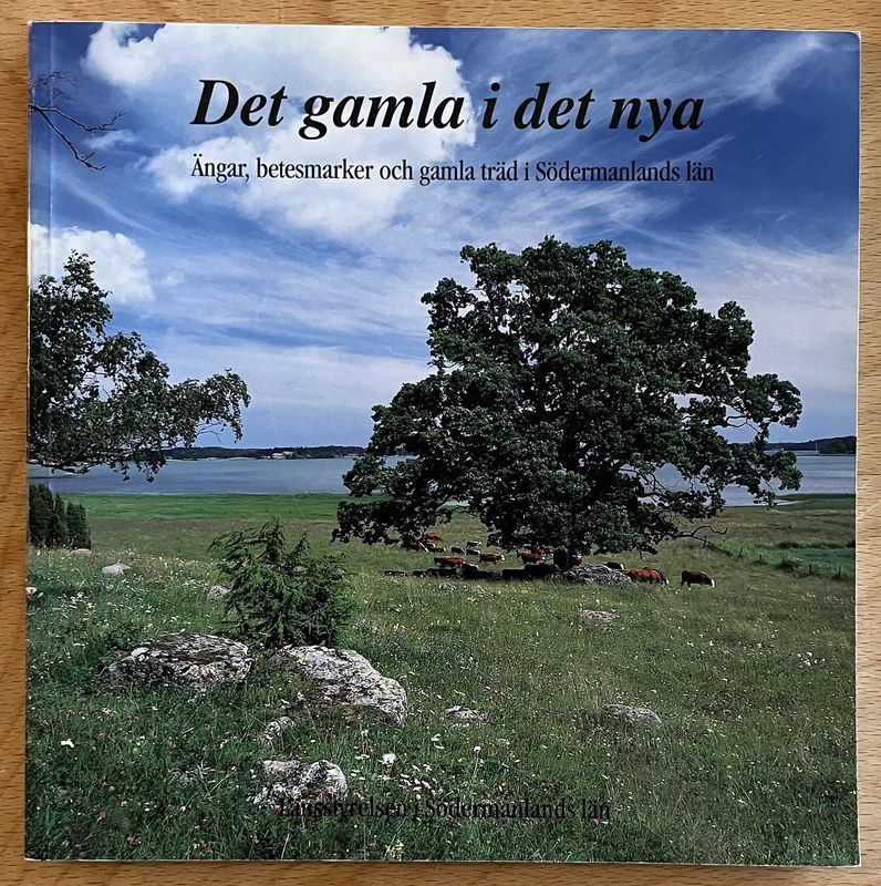 Det gamla i det nya - Åke Carlson