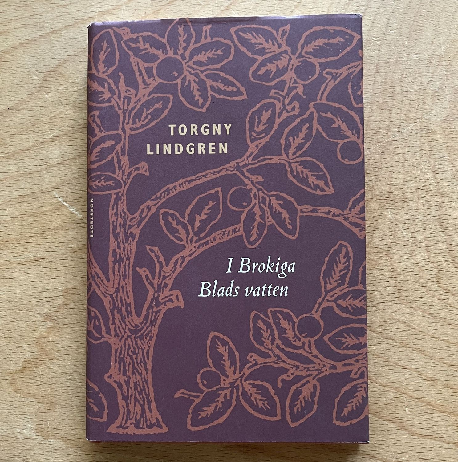 I Brokiga Blads vatten