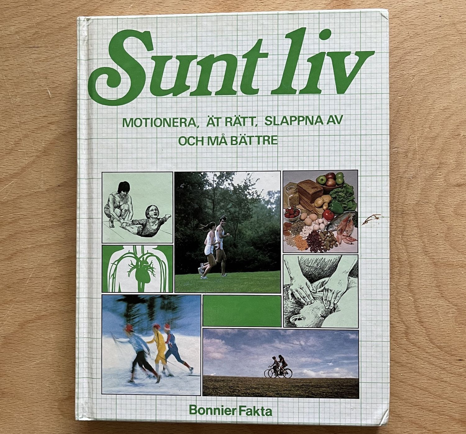 Sunt liv