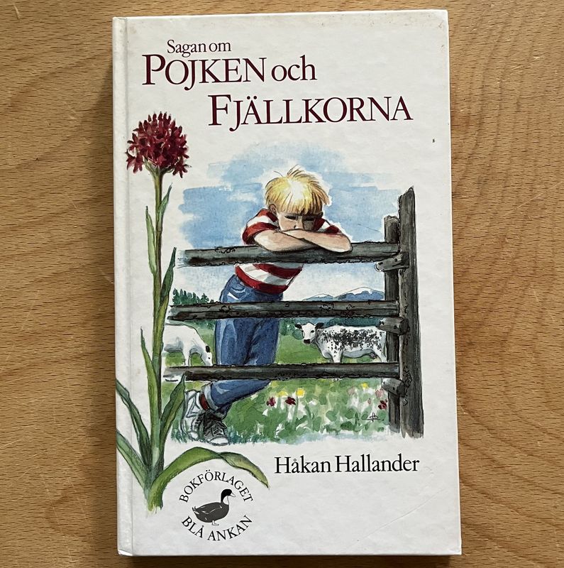 Sagan om pojken och fjällkorna - Håkan Hallander Sagan om pojken och fjällkorna - Håkan Hallander
