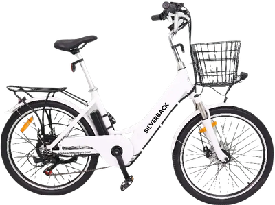 Silverback Cruiser 24