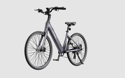 Heybike Venus