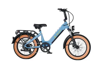 AIMA Big Sur Sport G2 15AH