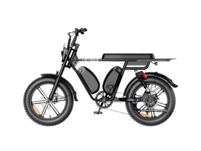 Heybike Saturn - Dual Battery