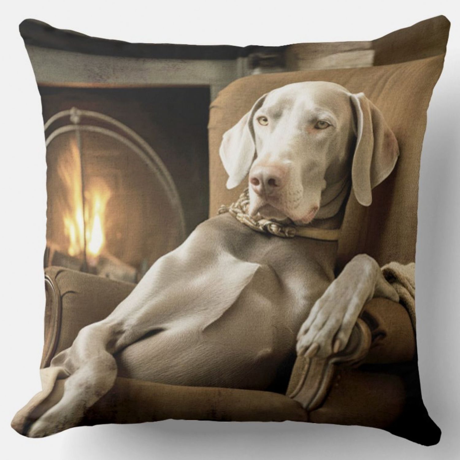 CUSCINO SEGUGIO EFFETTO VELLUTO IMBOTTITO 55X55